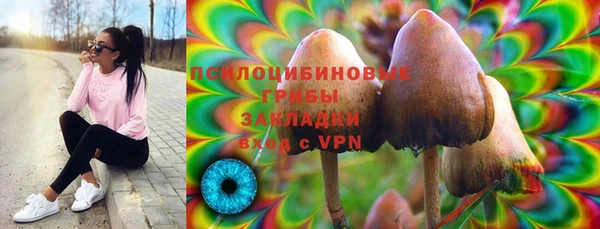 винт Краснослободск