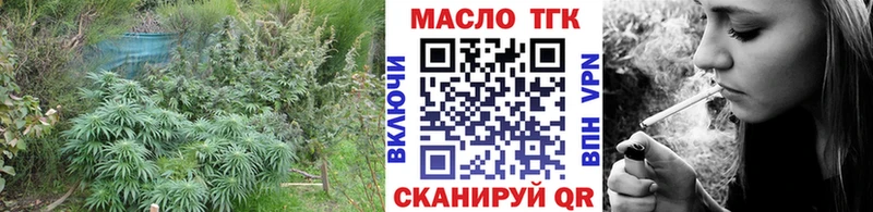 Купить закладки  Гуково  Дистиллят ТГК концентрат 