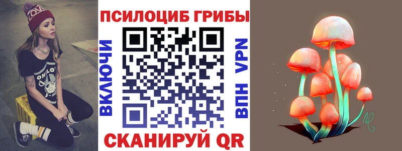 Купить  Гуково  Псилоцибиновые грибы GOLDEN TEACHER 