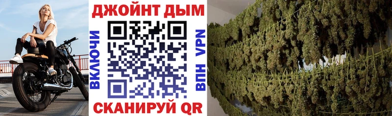 Купить где  Гуково  Бошки марихуана план 